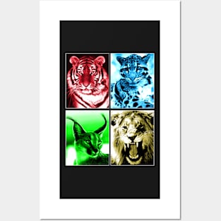 Colourful Cats Posters and Art